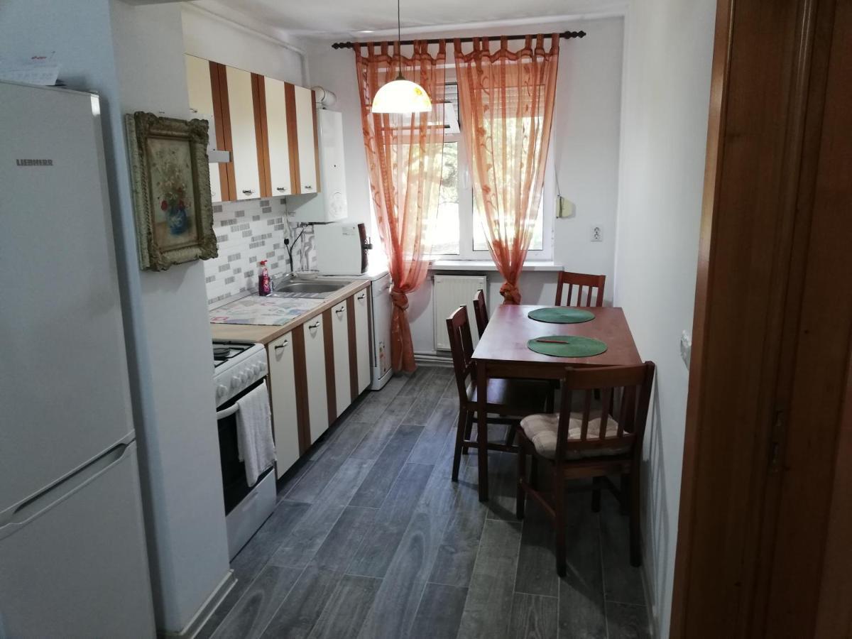 Апартаменты Valeria Apartament Онешти Экстерьер фото