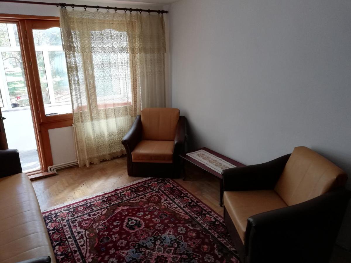 Апартаменты Valeria Apartament Онешти Экстерьер фото