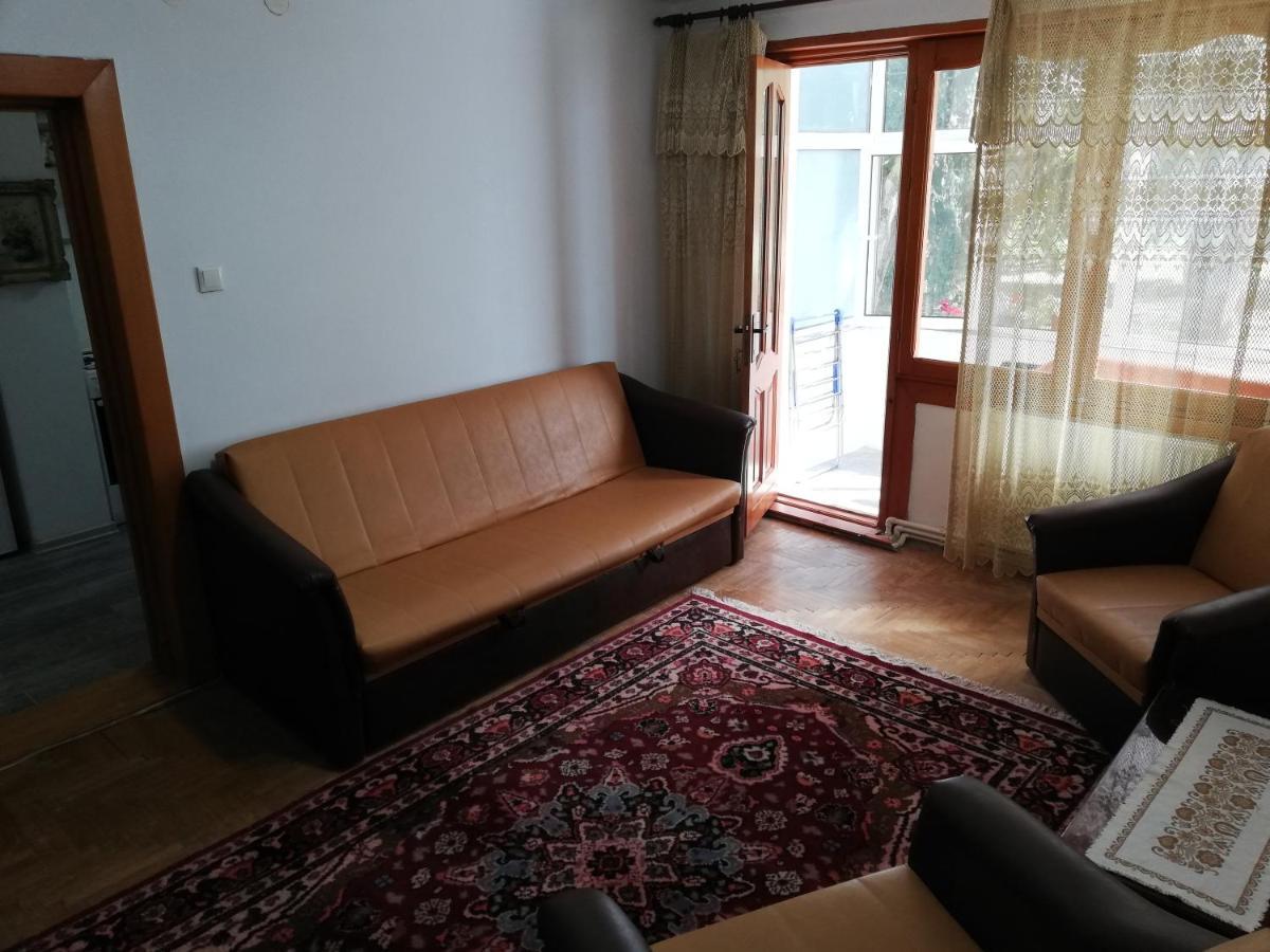 Апартаменты Valeria Apartament Онешти Экстерьер фото